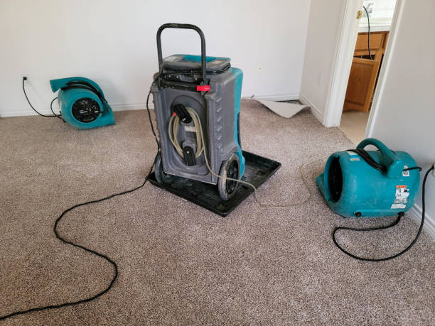 Best Emergency water damage restoration  in Morgan City, LA