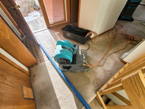 Best Flood damage cleanup  in Morgan City, LA