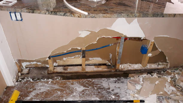 Best Water damage restoration specialists  in Morgan City, LA