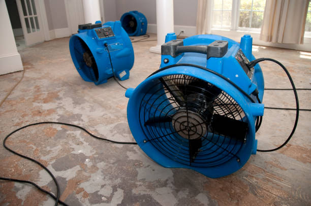 Best Flooded house restoration  in Morgan City, LA