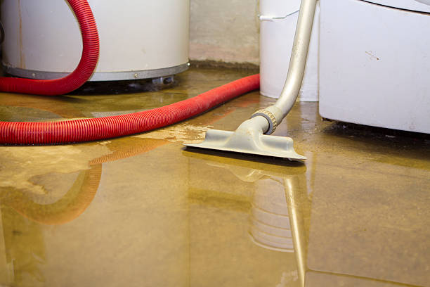 Water damage restoration insurance claims in Morgan City, LA