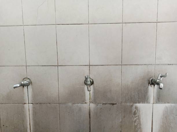 Best 24-hour water damage restoration  in Morgan City, LA
