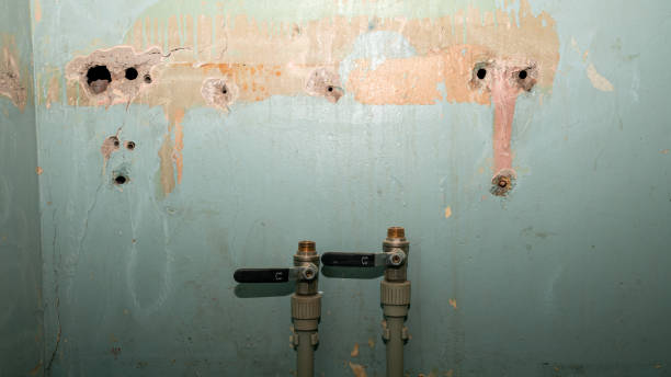 Best Commercial water damage restoration  in Morgan City, LA